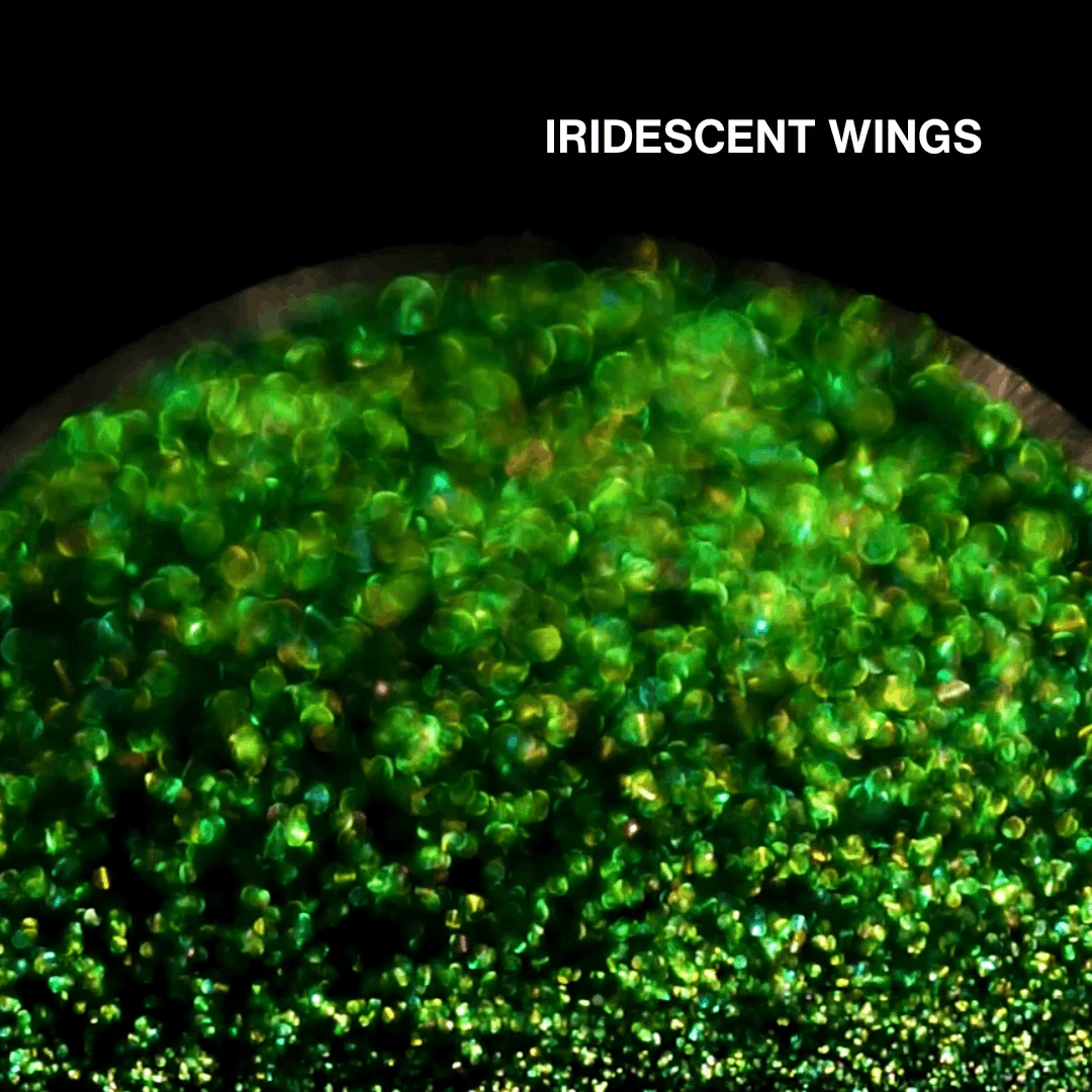 Chapter 4 - Garden of Iridescent Wings - Image 16